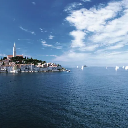 Sunlit Near Sea In * Poreč